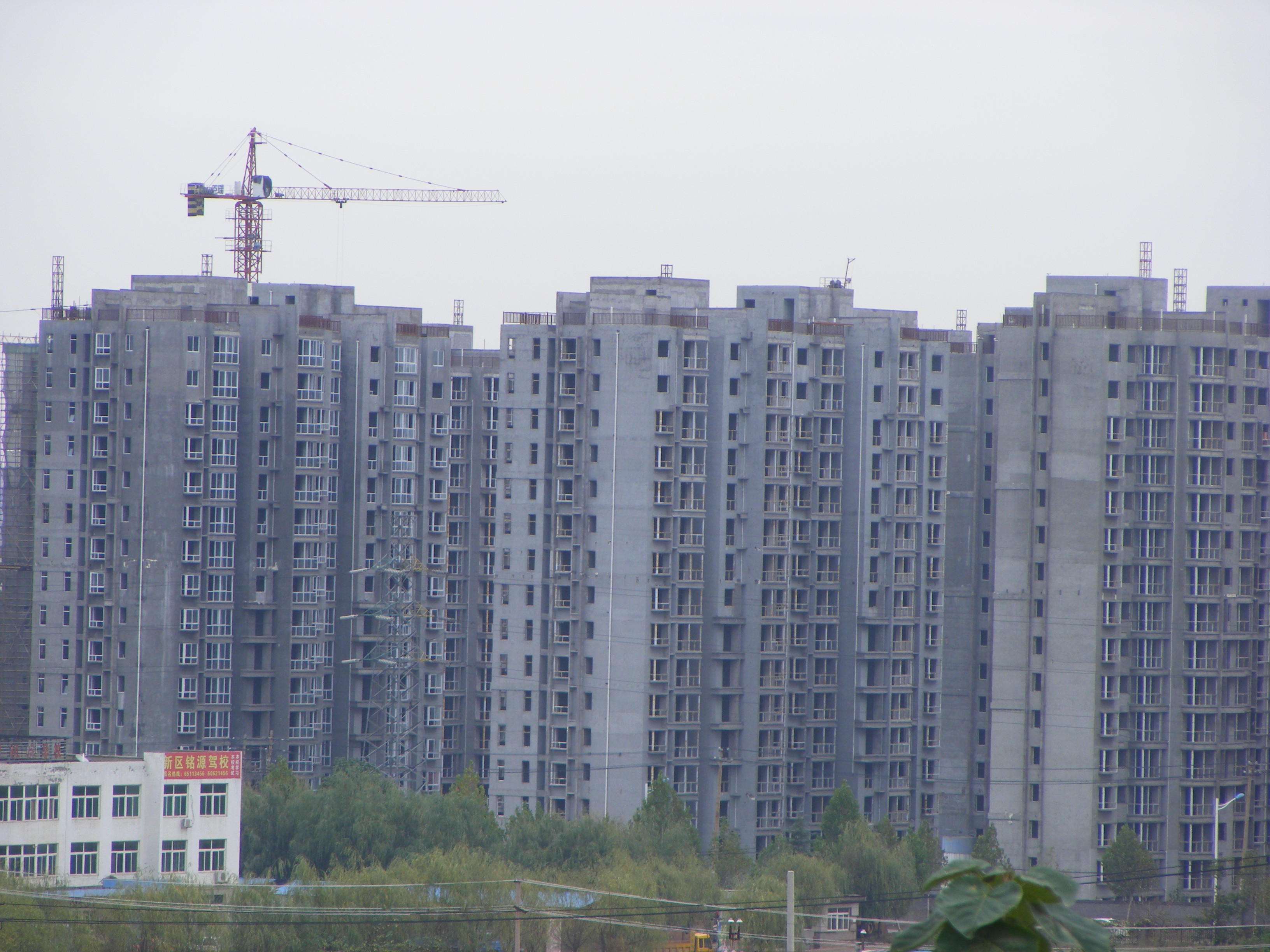 鍛(duan)ㄥ北鏂(ou)闆煄(zhong)緇忛€傛(yong)埧(ju)1
