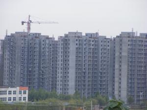 鍛(duan)ㄥ北(bei)鏂(ou)闆(ban)煄(zhong)緇(zi)忛€傛(yong)埧(ju)1